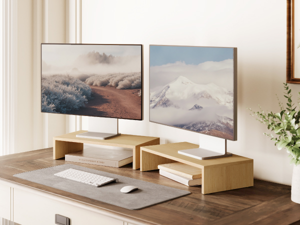dual monitor stand