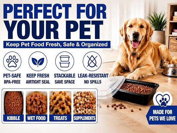 disposable containers with lids for food