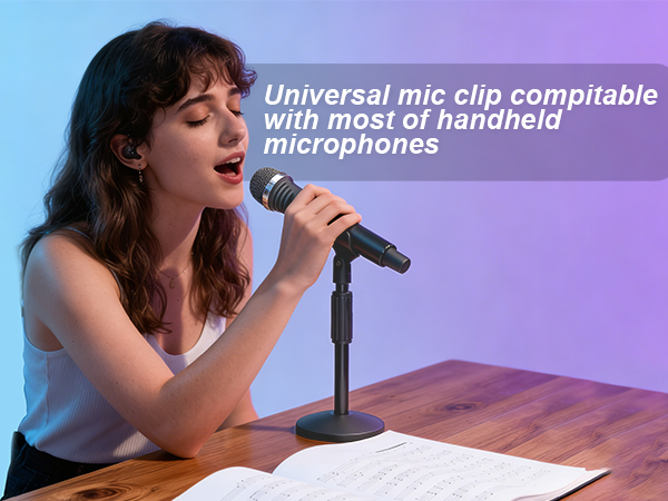 Desktop Mic Stand