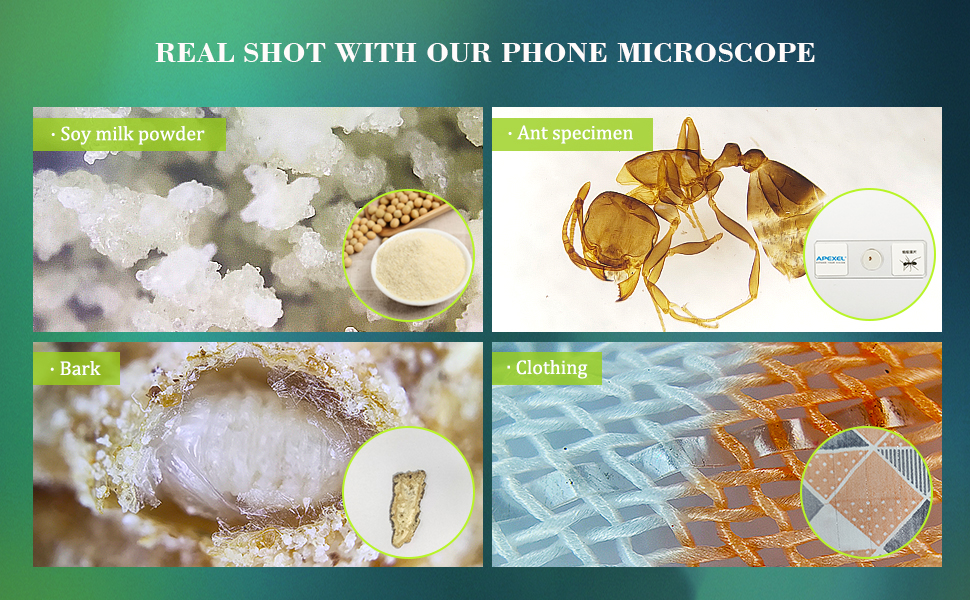 Real shots with MIAO LAB microscope