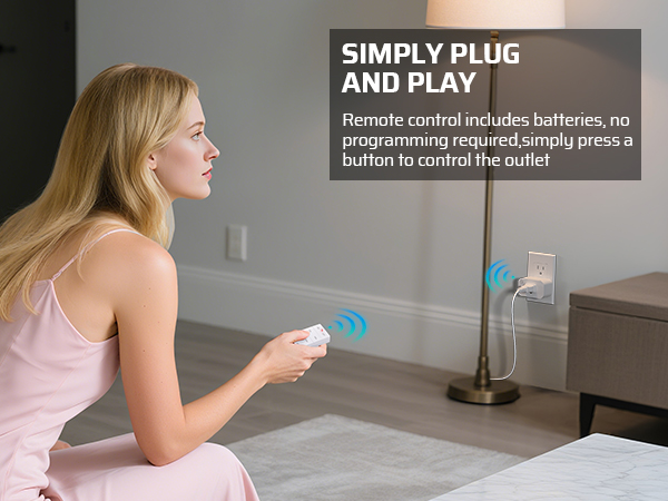 plug in switch