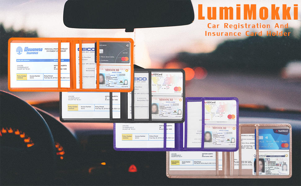 car registration and insurance holder
