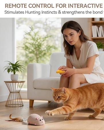 Cat-and-Mouse Interactive Toy