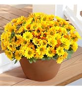 Lifewit Artificial Flowers Daisy for Outdoor