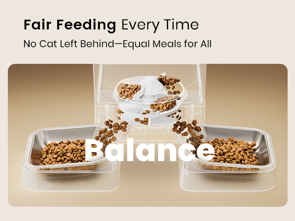 Automatic cat feeder