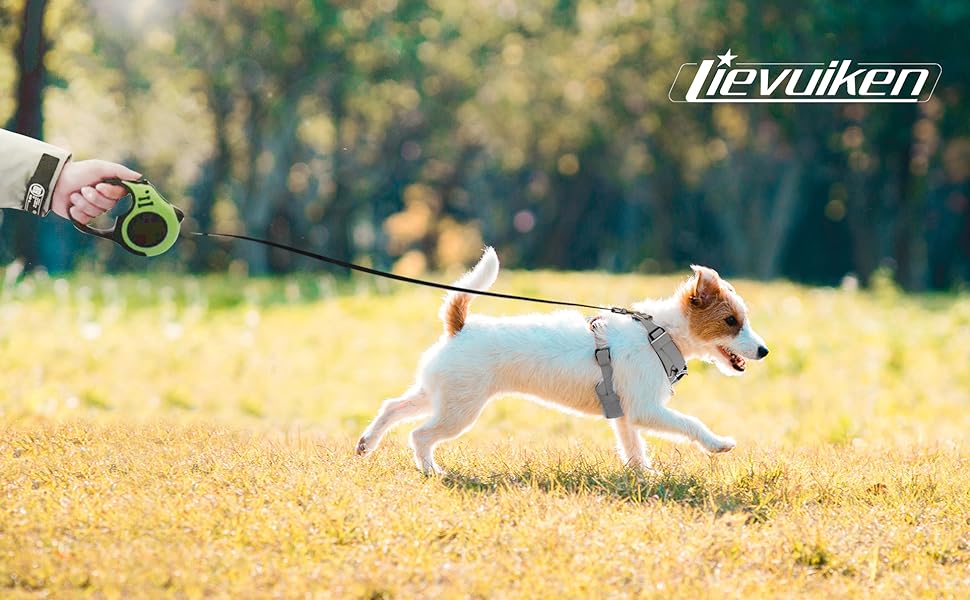 Retractable Dog Leash