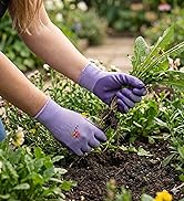 Woman Gloves