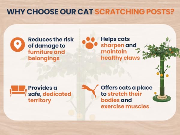 cat scratching post