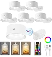 AMETHEUS Picture Lights for Wall, 2000mAh Rechargeable Magnetic Art Lights with 3 Color Temps & R...