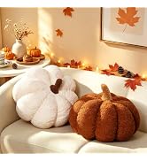 Teieas Pumpkin Pillow Thanksgiving Pumpkin-Shaped Throw Pillows Set of 2 | 2 Pcs 3D plush throw p...