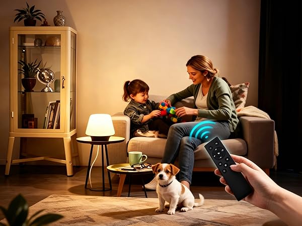 Remote control light bulbs