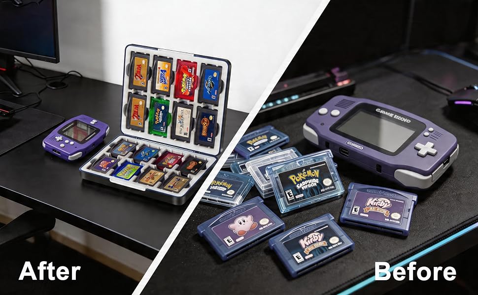 GBA case