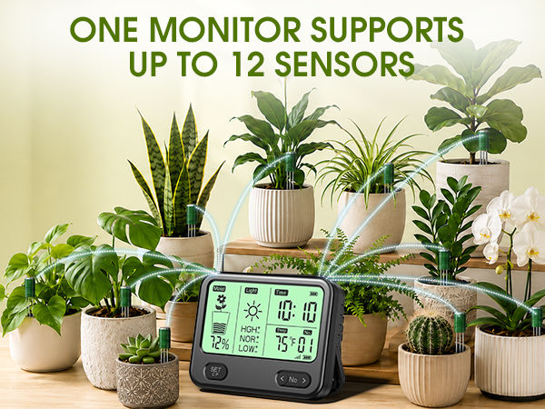 Soil Moisture Meter for Plants
