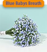 Yastouay Babys Breath Artificial Flowers, 12Pcs Fake Babys Breath Flowers Artificial Bulk, Real T...