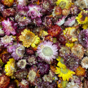 edible dried flowers chrysanthemum flower cocktail garnish cake decoration tea infusion drink