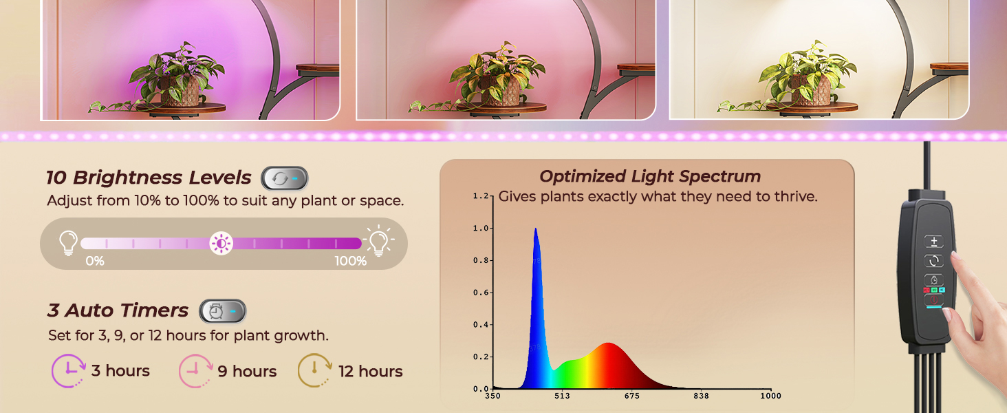 PLANT RACK