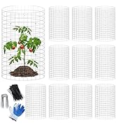 winemana 12Pcs Garden Plant Protector Cage, 16x12 IN Metal Wire Protectors for Plants, Protection...