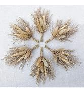 Mini Dried Flower Bouquet Set of 6 for Boho Floral Wedding, Table Centerpieces,Small Dry Pampas G...