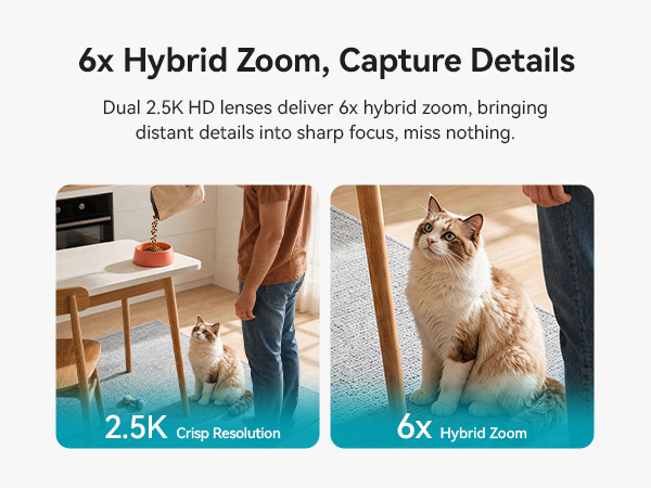 6x Hybrid Zoom Capture Details