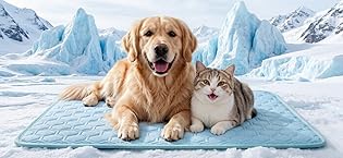 https://m.media-amazon.com/images/S/aplus-media-library-service-media/0353ec43-2677-4a7d-9e6c-115f4392bced.__CR9,0,1390,640_PT0_SX315_V1___.jpg