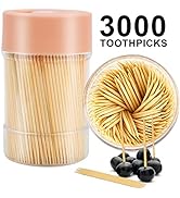 TRTRin [3000 Count 100% Natural Bamboo Toothpicks - With 1 Piece Reusable Toothpick Holder, Sturd...