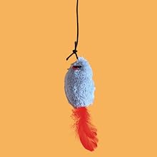 cat toys