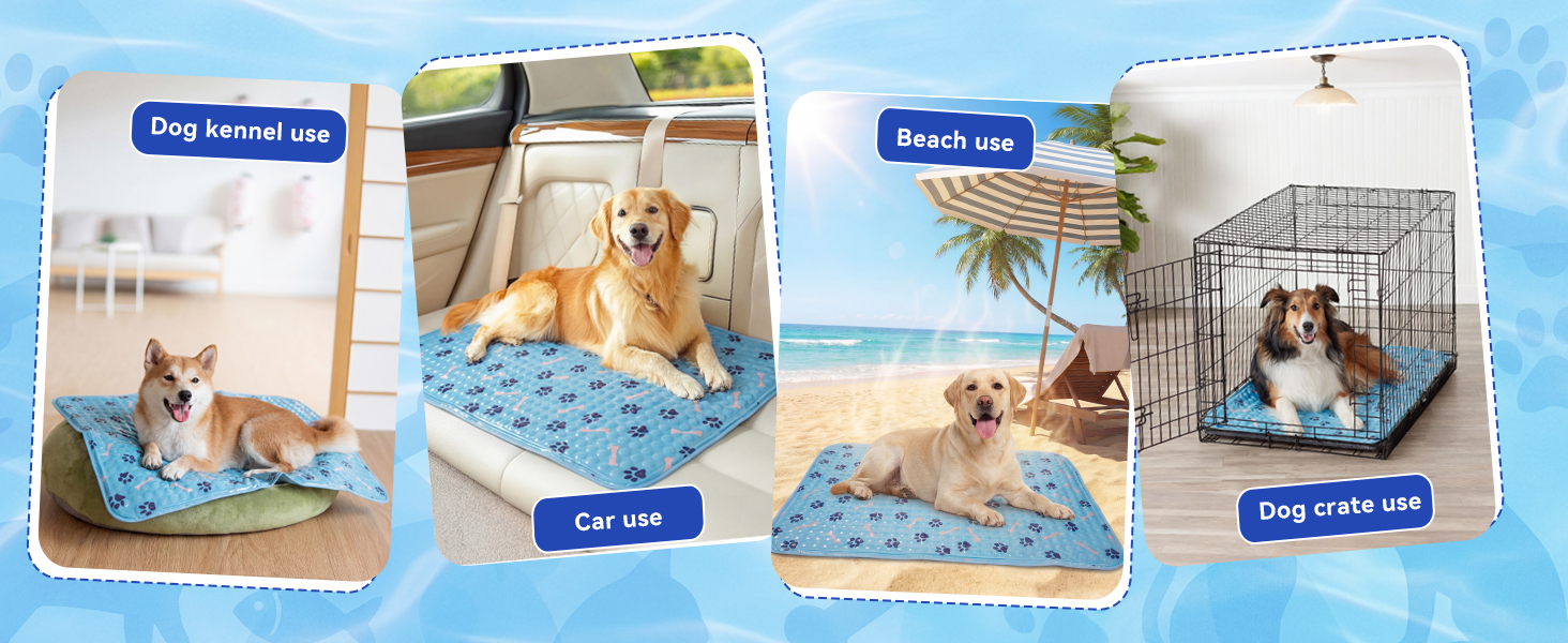 dog cooling bed