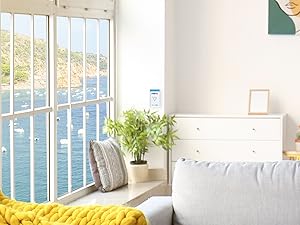 Protect Your Property