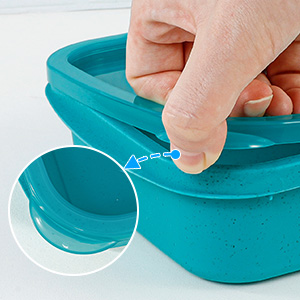 Easy-Open Lids Lunch Box Containers