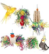 Bird Toys Bird Shredding Foraging Toys Parakeet Toy Chewing Hanging Toy Bird Shredded Paper Bird ...