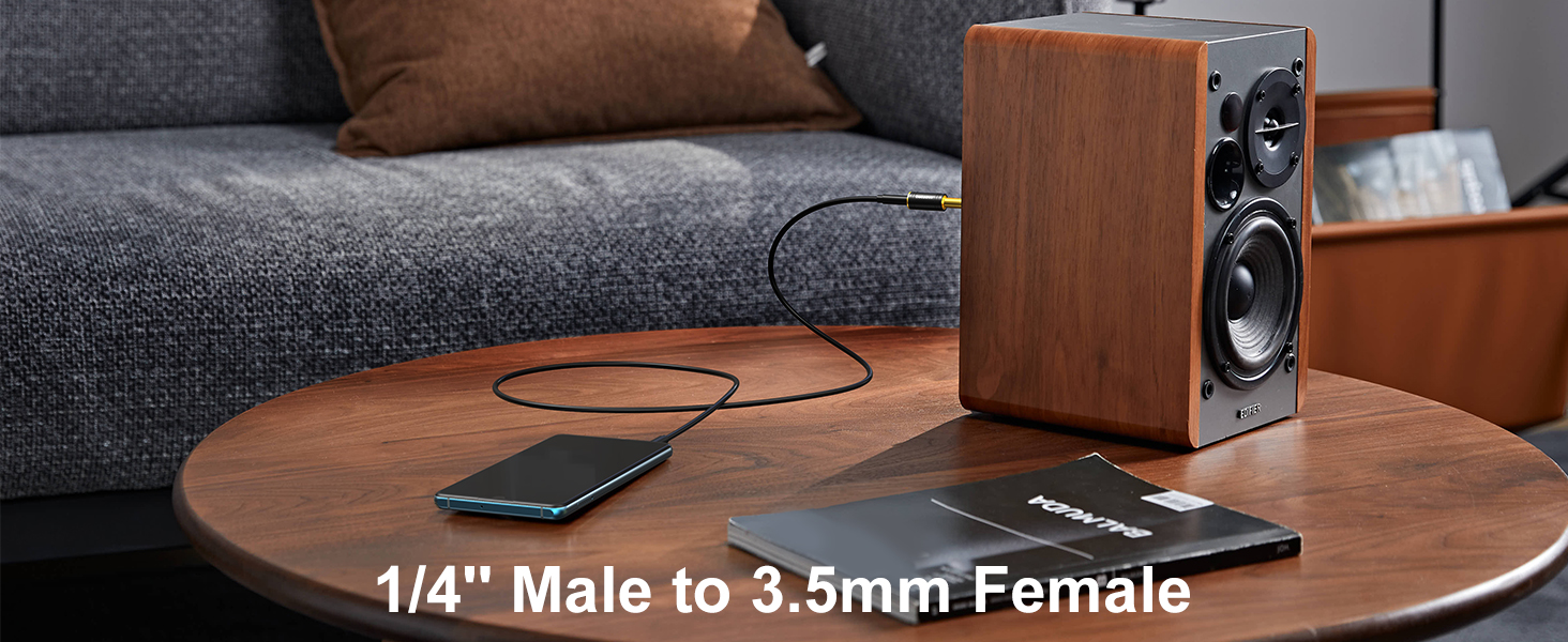 3.5 & 6.35 Headphone Adapter