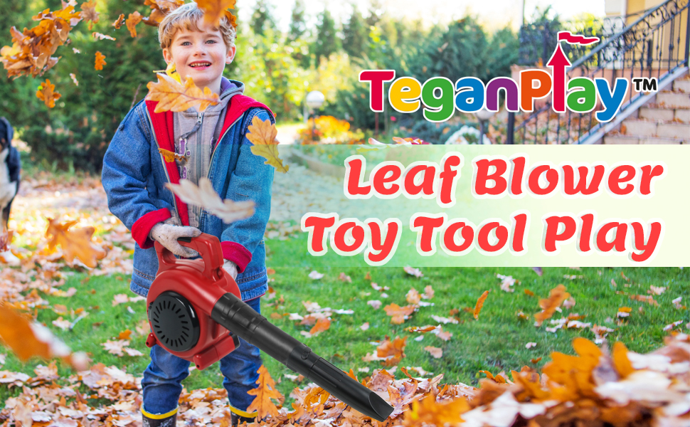 leaf blower toy