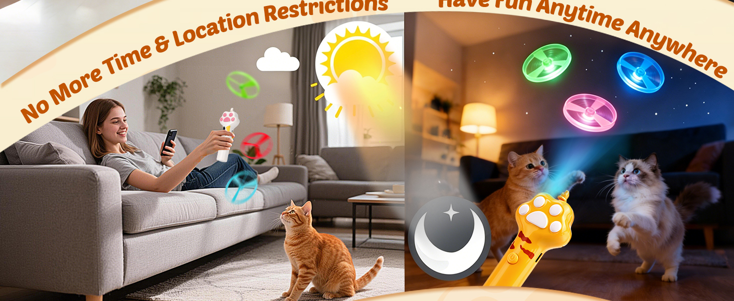 cat flying disc toy