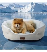 Bedsure Cooling Dog Beds for Small Dogs - Round Medium Cat Beds for Indoor Cats, Washable Pet Bed...