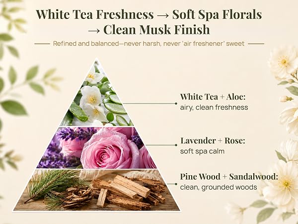 White Tea Freshness ? Soft Spa Florals ? Clean Musk Finish