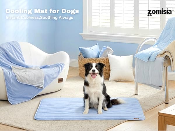 Dog Cooling Mat