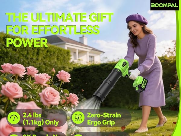 cordless leaf blower