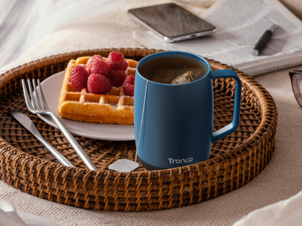 temperature control mug