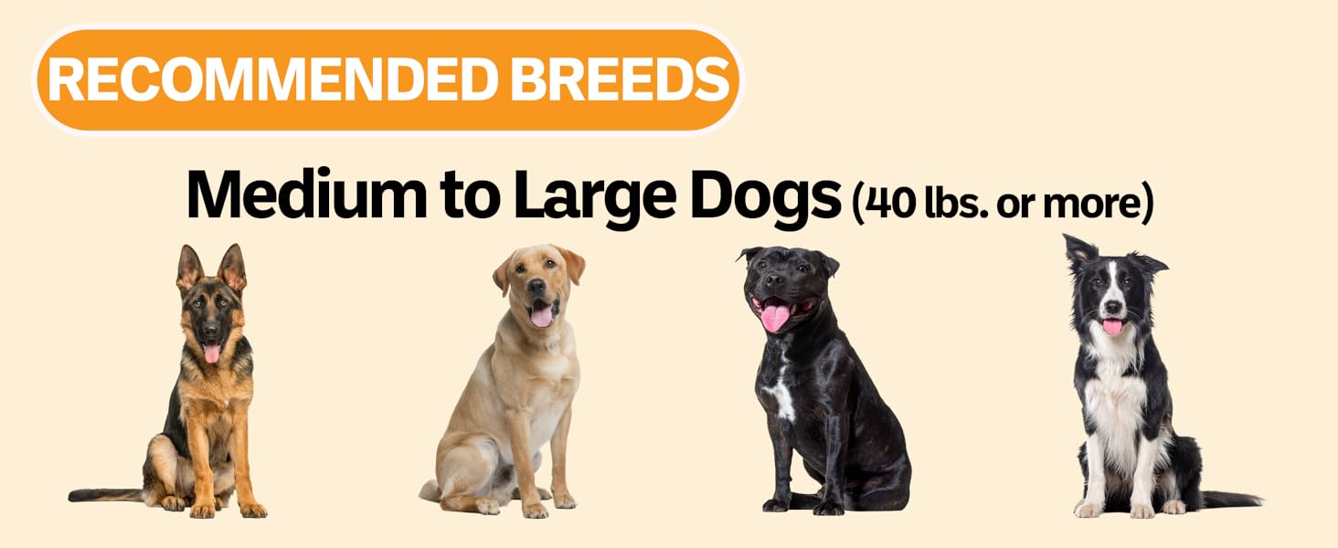 Recommended breeds for 3 cup slow feed bowl