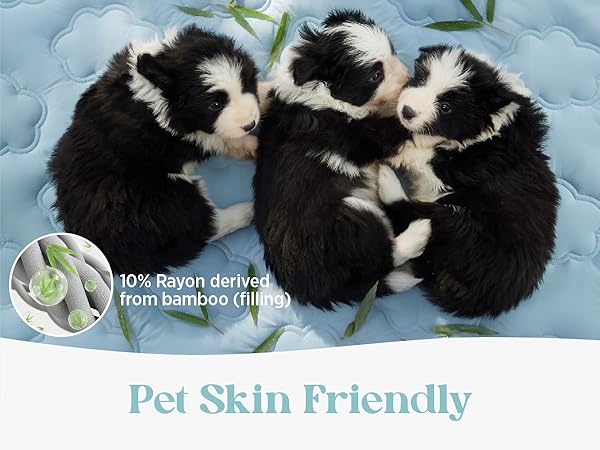 Lesure Fabric are skin friendly for your furry friend