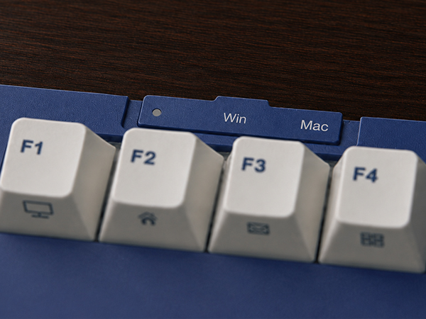 Win/Mac Switch