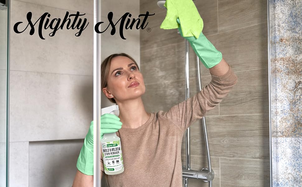 Mold, Mildew, Bathroom, Tile, Outdoor, Stain Remover, Mold Remover, sugelary, glassguard