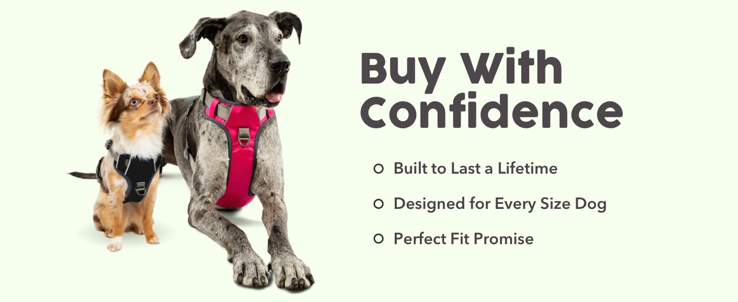 Adventure Harness