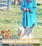 dog leash for 2 dogs