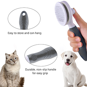 cat brush