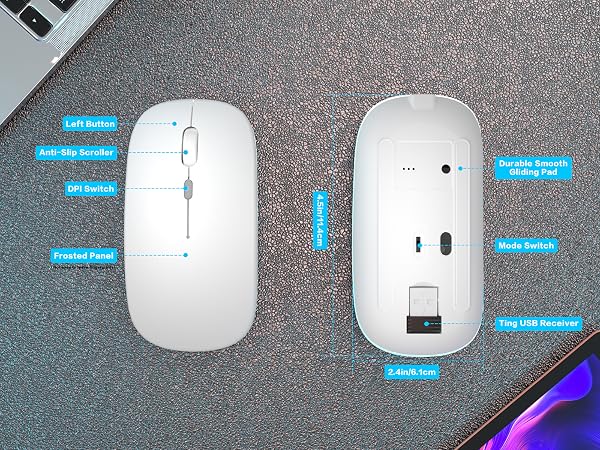 Mouse