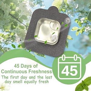 45 Days of Continuous Freshness