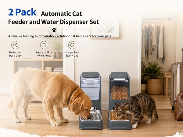 Automatic cat feeder