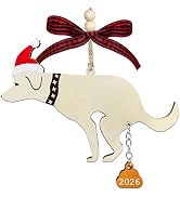 Funny Christmas Ornaments 2026, Wooden Dog Ornament - Fun Ornaments for Adults Exchange, Unique O...