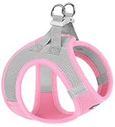 Step-in Small Dog Harness